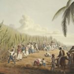 0307d51b714d4f8a8993ea2b27c36048