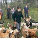 113c8aceb0094771a41d9e23db249a6a