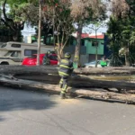 1e5db06a20fc4e78bce2c9299fd57b80