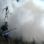 2fb2ee95909b44d3af16f533dc090602