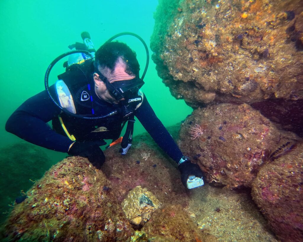 3ca3e7eb99194683904588914e7c55c5