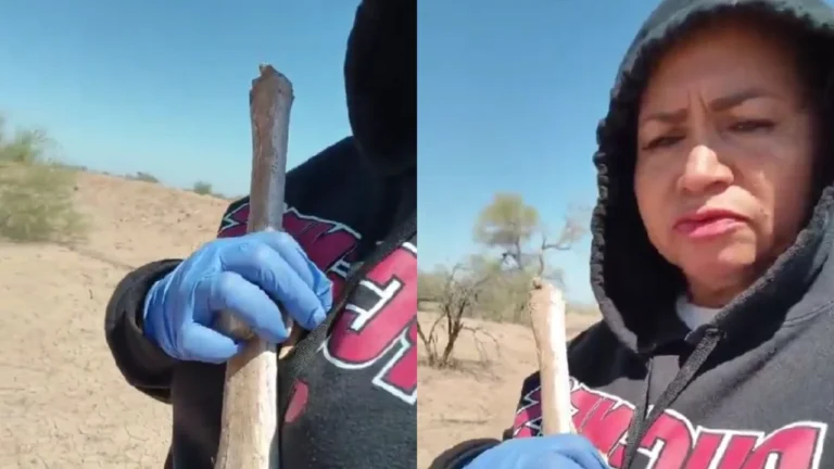 459c921403014a4b9f18cf89323f71e2