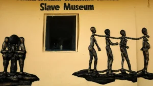 64b50421ff5043f1980c6e1af05ec5e8