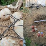 6fc5a14cc22743a795a444ef02648286