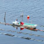 883e7775a47d415eba89b62306a7ac46