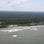 8931444a543d4ae8a181b57593492e39