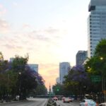 897f1ba6b15d4bd5b8d2e536bc6a9d45