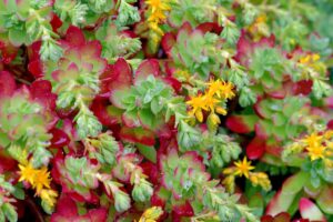 8fe36463ea004eda9b76280a7e022627