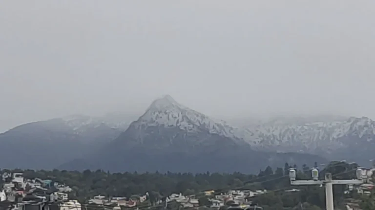 a3aeb7bdea0e460e97213a5b0529d3e5