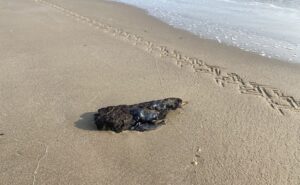 a434b19dd6204f4d9c509612cf573410