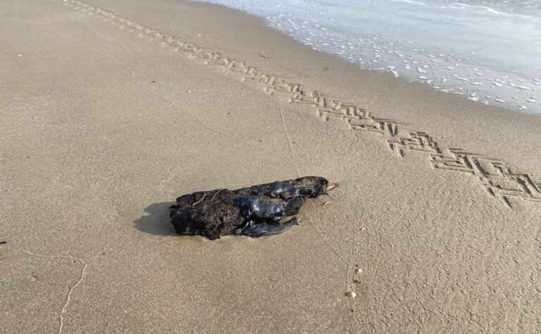 a434b19dd6204f4d9c509612cf573410