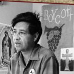 ab0a20b4bc804b14ba6a68f26f7f5dd2