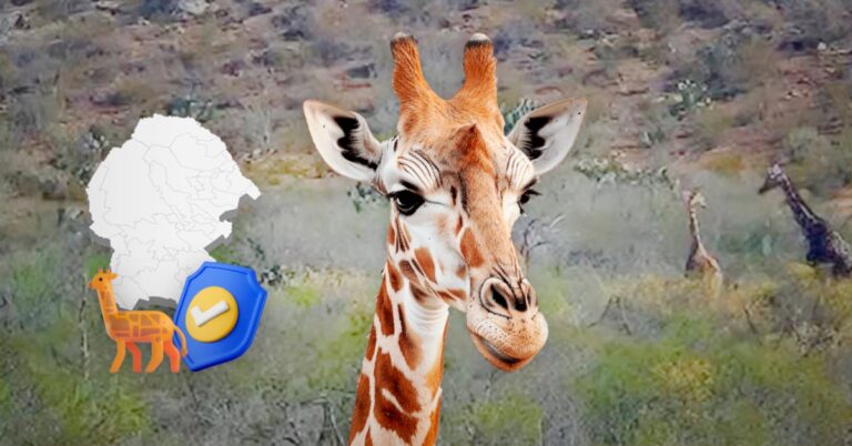 bbc4b3aae3b2411f955fcfcf0655dd7c