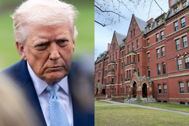 bc69ecc6505f4480bc603746d3a12b37