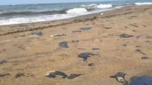 c20872f62efe4b6199d058b43ecae634