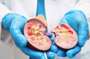 db71852f8c7c4e9da7c90489ae511966