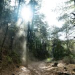 dc7038ffe5784fd5b9b062d5809e8a00