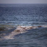 Greenpeace: mancha de crudo en el golfo de México tiene "impacto severo" en el ecosistema