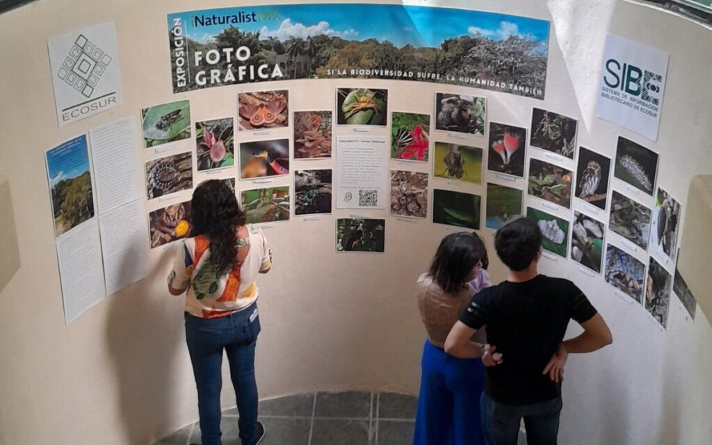 f79dc1ebcabf434ca83578b765d0833d