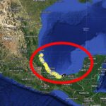 feec7c10036b475f85159df618129b43