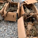 07fc89c676a94b3eb47ba8f0600ba13c