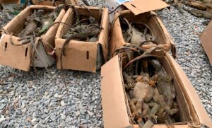 07fc89c676a94b3eb47ba8f0600ba13c