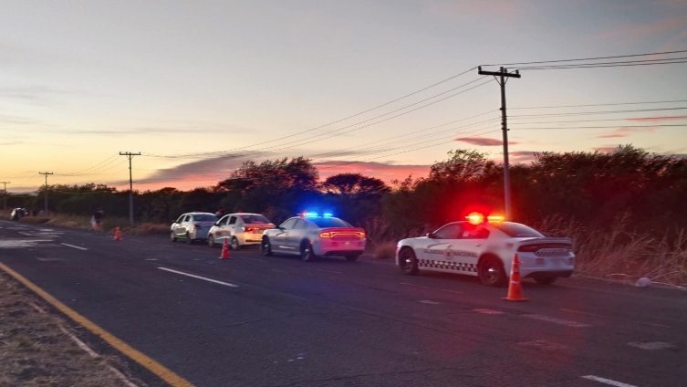 0ec78eda06f64d61898db7770bbeb9da