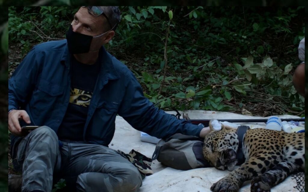 1430951316d443f6941095d8fe803b21