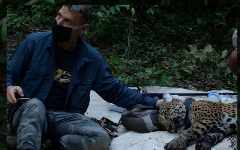 1430951316d443f6941095d8fe803b21