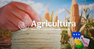 1b4fe941b8ad423eb003a5d384b74ec3