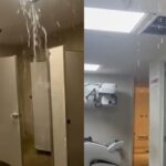 26c51a8dc4af4542a22b0309762d9fdf