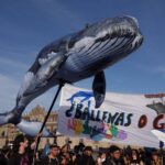 27187ff26c964c868c50473ecd2208b5