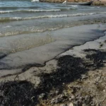 2f23ffdedb574eb1b583a711af1345ba