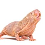 354a73d101be46cd9a18942ef0f2c08e