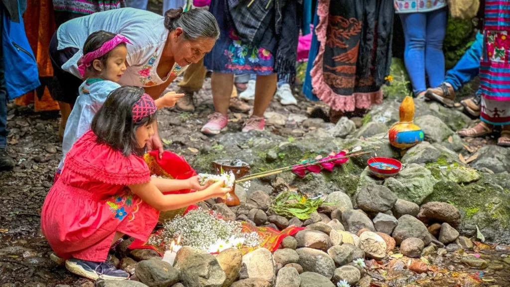 41688aced7c74bfdb31e04ec4f955285