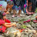 41688aced7c74bfdb31e04ec4f955285