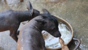 517ebf7a072543a884f17ca9f7bdb0e0