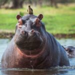 64cdf5bde0df49bb92e74fc14cf50e19