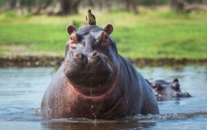 64cdf5bde0df49bb92e74fc14cf50e19