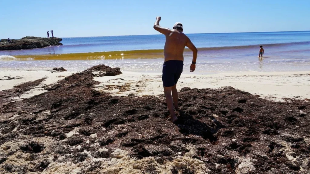 654686daa1894d0ab74e4befa96a8107