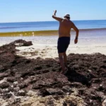 654686daa1894d0ab74e4befa96a8107