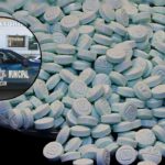 6950e995a954467fb9935da8f0c84b59