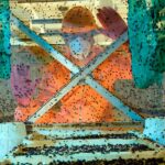 7965c6c8e5f94ca686e5b28803a8ab57