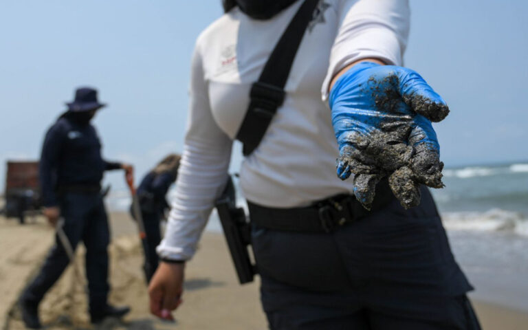 7a17724386a34fee93029a2170ec50c6