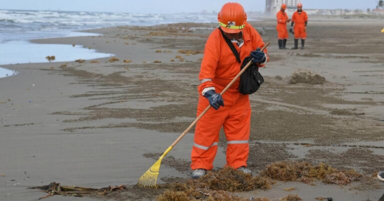 b15135af9cdd4236a67b333d2ffb3122