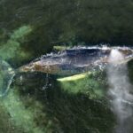 d1d0c0b9d082472ca14a2a0e6dfd5fe2