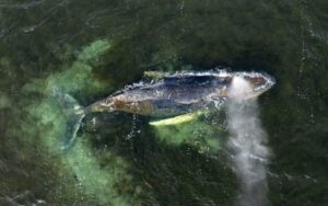 d1d0c0b9d082472ca14a2a0e6dfd5fe2