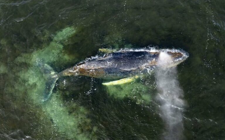 d1d0c0b9d082472ca14a2a0e6dfd5fe2