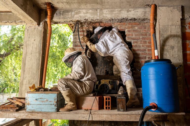 dd068c9bca744445a279f0456e18442e