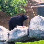 f0651f3d721c4f44ab1e3f27d5b273cc